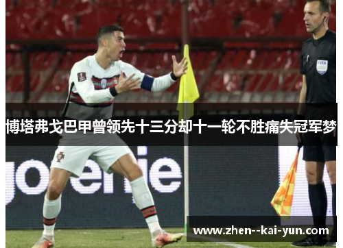 博塔弗戈巴甲曾领先十三分却十一轮不胜痛失冠军梦 博塔弗戈巴甲曾领先十三分却十一轮不胜痛失冠军梦